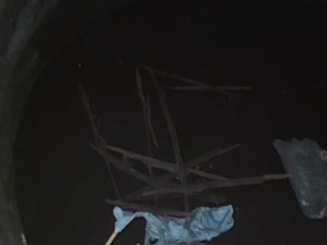Wild cat rescue from 60-foot well: Inside the tense operation and what it teaches us
